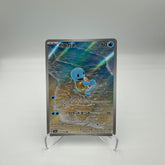 sv2a - Carapuce 170/165 AR